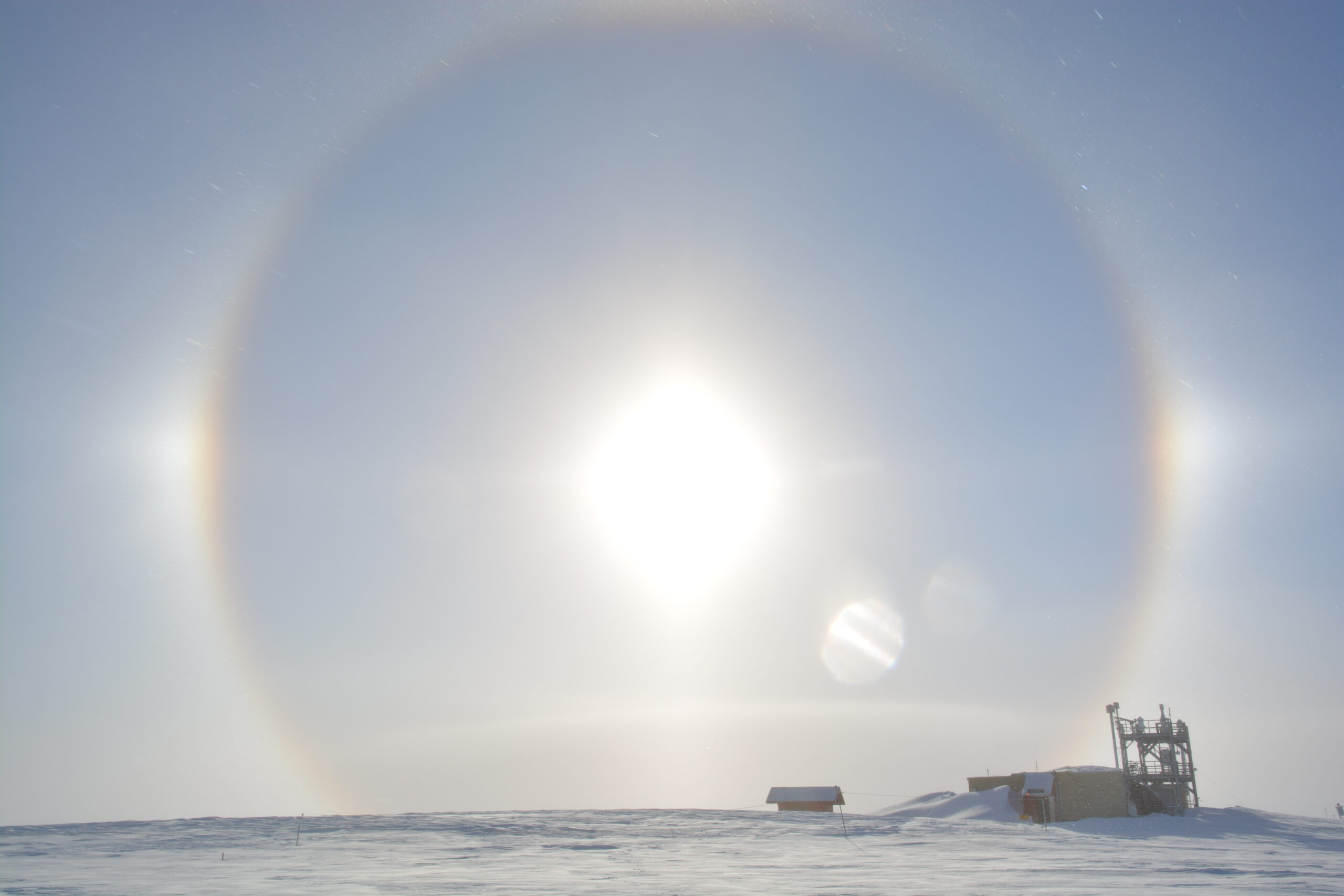 Sun Dawgs (April 2025)